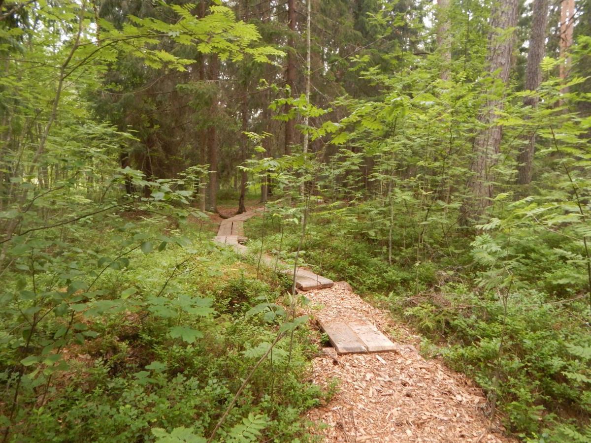 Haaviku Nature Cottage Tepelvalja Экстерьер фото